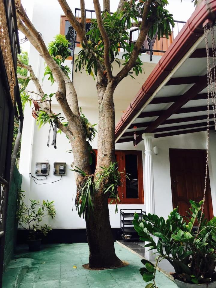 House Of Seya Bed and Breakfast Negombo Eksteriør billede