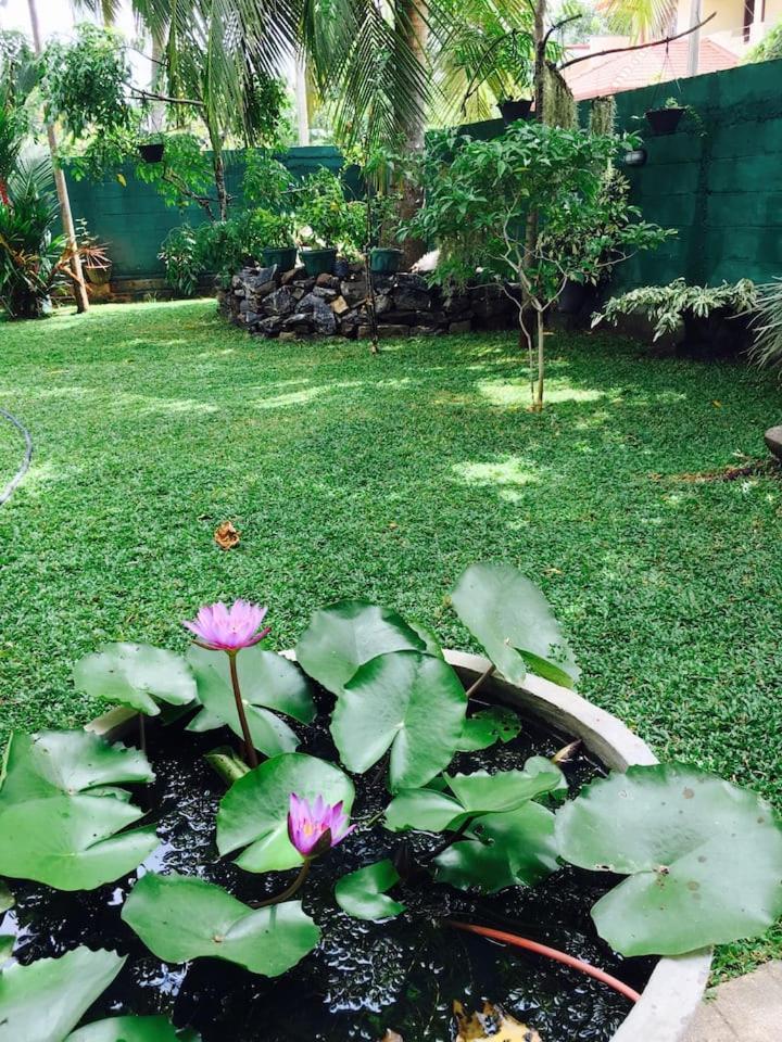 House Of Seya Bed and Breakfast Negombo Eksteriør billede