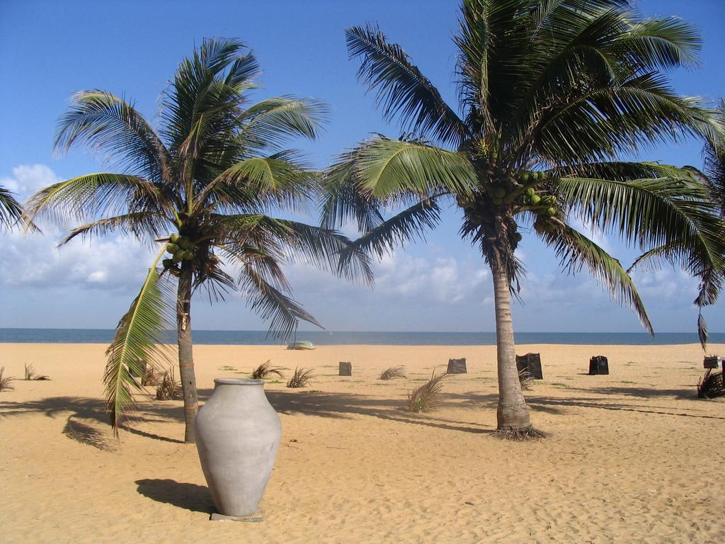 House Of Seya Bed and Breakfast Negombo Eksteriør billede
