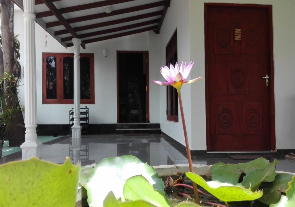 House Of Seya Bed and Breakfast Negombo Eksteriør billede